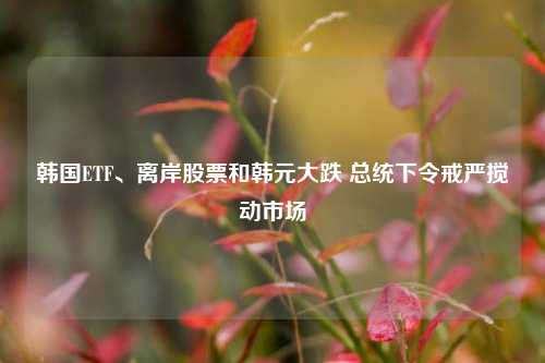 韩国ETF、离岸股票和韩元大跌 总统下令戒严搅动市场-第1张图片-十倍杠杆-股票杠杆