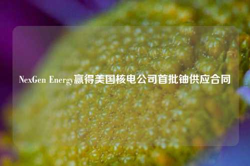 NexGen Energy赢得美国核电公司首批铀供应合同-第1张图片-十倍杠杆-股票杠杆