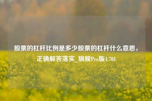 股票的杠杆比例是多少股票的杠杆什么意思，正确解答落实_旗舰Pro版4.701-第1张图片-十倍杠杆-股票杠杆