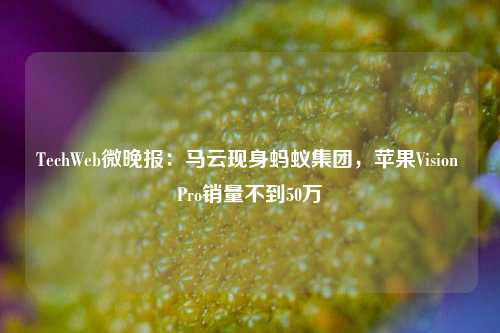 TechWeb微晚报：马云现身蚂蚁集团，苹果Vision Pro销量不到50万-第1张图片-十倍杠杆-股票杠杆