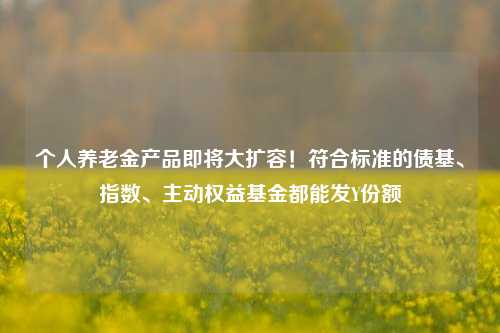 个人养老金产品即将大扩容！符合标准的债基、指数、主动权益基金都能发Y份额-第1张图片-十倍杠杆-股票杠杆