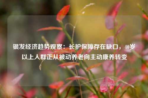 银发经济趋势观察：长护保障存在缺口，40岁以上人群正从被动养老向主动康养转变-第1张图片-十倍杠杆-股票杠杆