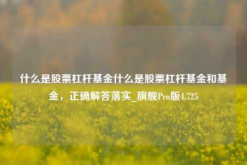 什么是股票杠杆基金什么是股票杠杆基金和基金，正确解答落实_旗舰Pro版4.725-第1张图片-十倍杠杆-股票杠杆