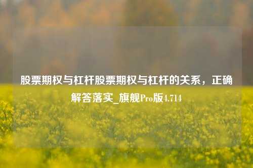 股票期权与杠杆股票期权与杠杆的关系，正确解答落实_旗舰Pro版4.714-第1张图片-十倍杠杆-股票杠杆